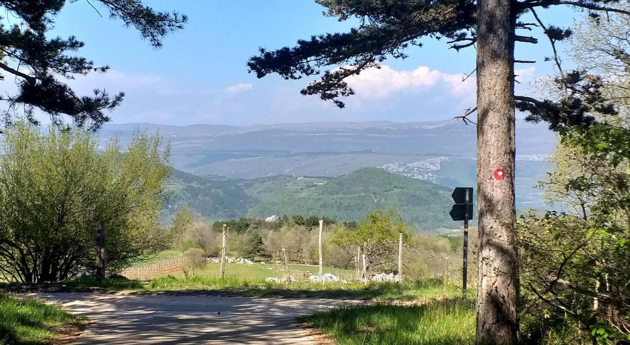 Rural Apartment Carolina Zrenj Екстериор снимка