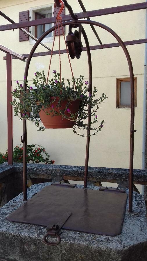 Rural Apartment Carolina Zrenj Екстериор снимка