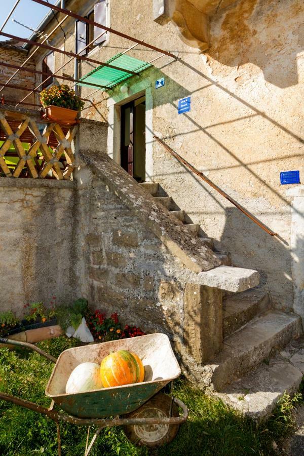Rural Apartment Carolina Zrenj Екстериор снимка