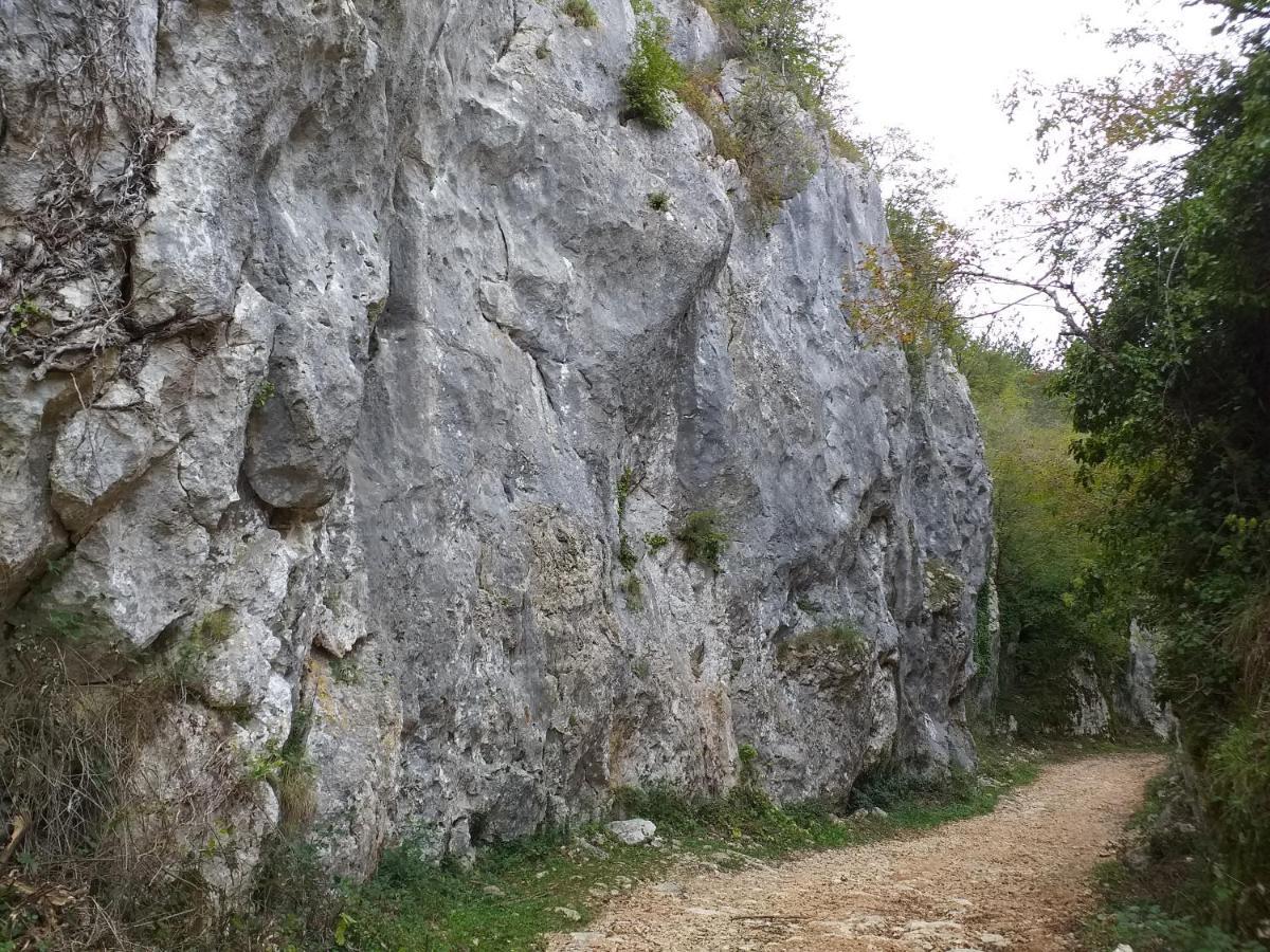 Rural Apartment Carolina Zrenj Екстериор снимка